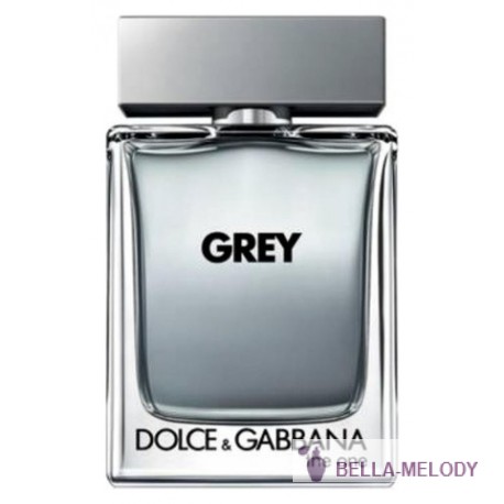 Dolce Gabbana (D&G) The One Grey 11