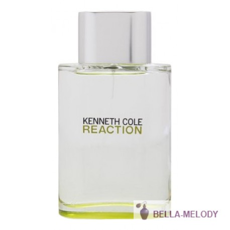 Kenneth Cole Reaction For Men 11