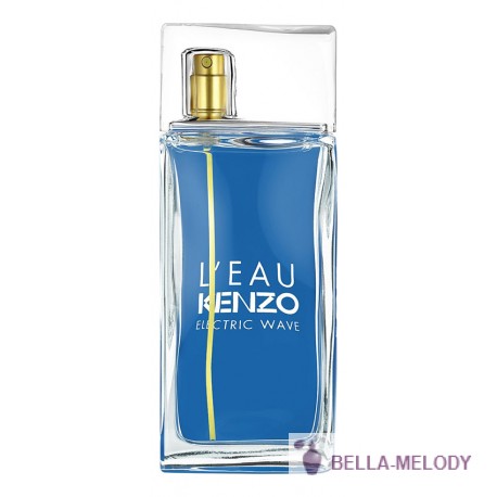 Kenzo L'Eau Par Kenzo Electric Wave Pour Homme 11