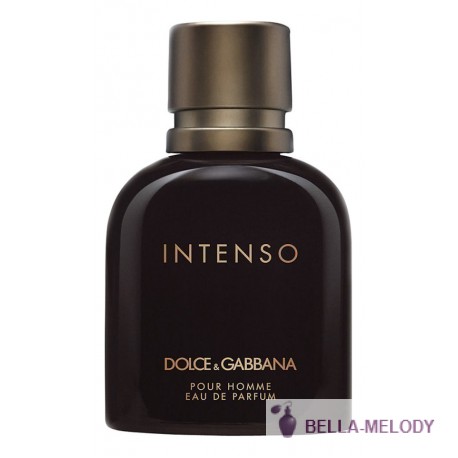 Dolce Gabbana (D&G) Pour Homme Intenso 11