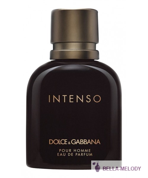 Dolce Gabbana (D&G) Pour Homme Intenso