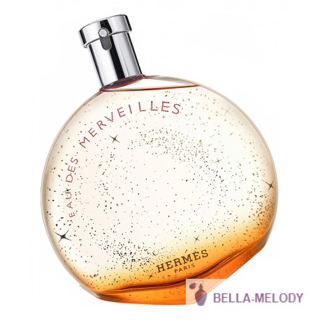 Hermes Eau Des Merveilles 11