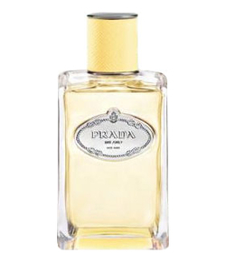 Prada Infusion De Mimosa