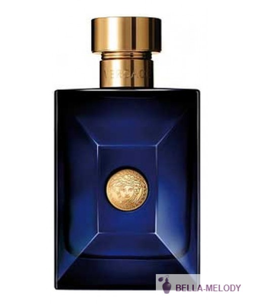 Versace Pour Homme Dylan Blue