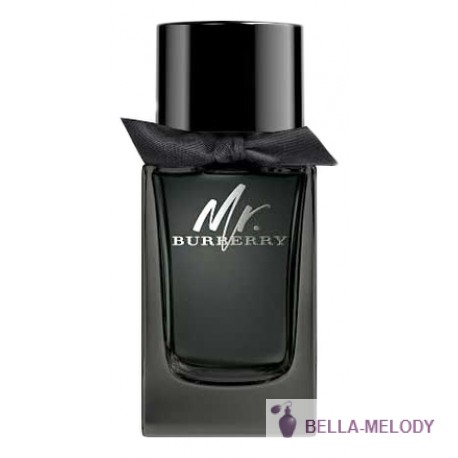 Burberry Mr. Burberry Eau De Parfum 11