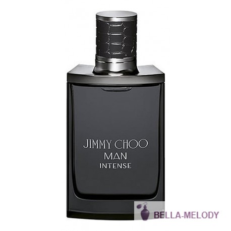 Jimmy Choo Man Intense 11