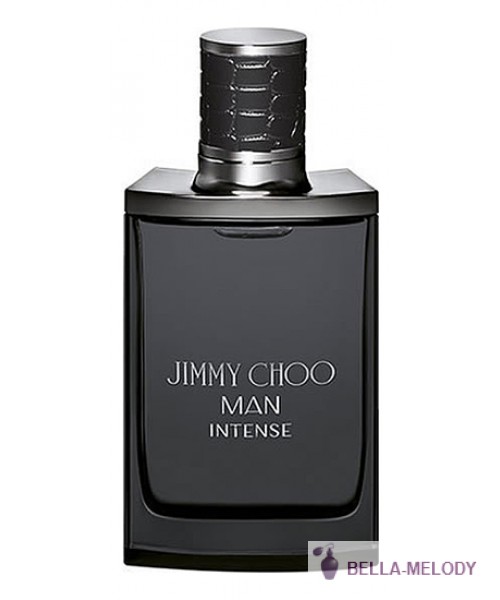 Jimmy Choo Man Intense