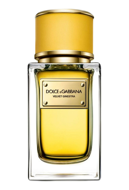Dolce Gabbana (D&G) Velvet Ginestra