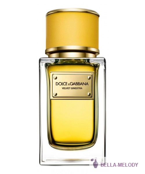 Dolce Gabbana (D&G) Velvet Ginestra