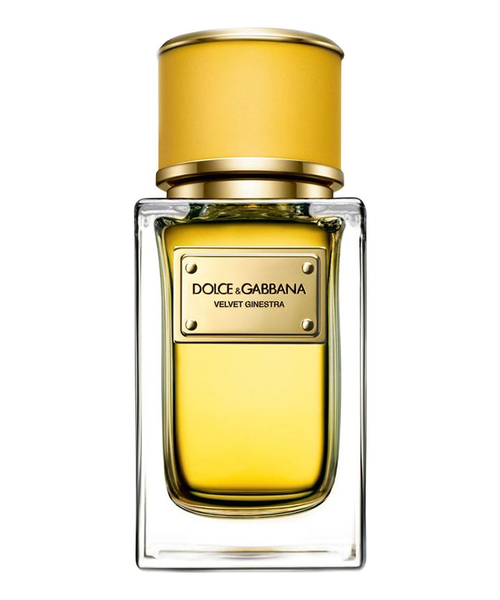 Dolce Gabbana (D&G) Velvet Ginestra