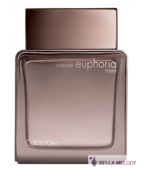 Calvin Klein Euphoria Intense Men