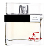 Salvatore Ferragamo F by Ferragamo Pour Homme