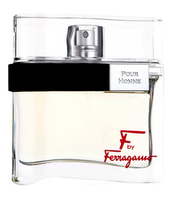 Salvatore Ferragamo F by Ferragamo Pour Homme