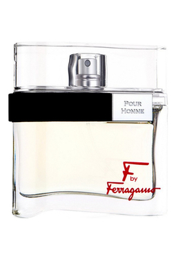 Salvatore Ferragamo F by Ferragamo Pour Homme
