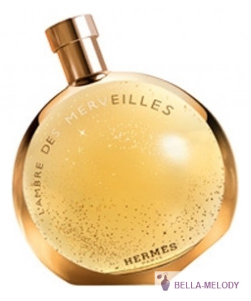 Hermes L'Ambre Des Merveilles