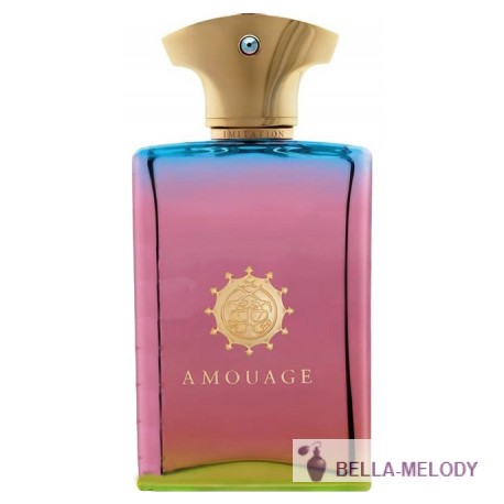 Amouage Imitation For Man 11