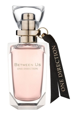 One Direction Between Us