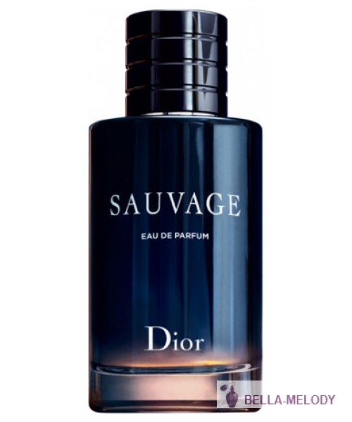 Christian Dior Sauvage Eau De Parfum