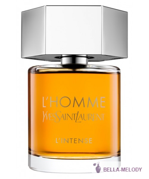 YSL L'Homme Parfum L'Intense