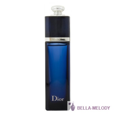 Christian Dior Addict Eau De Parfum 2014 11