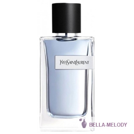 YSL Y Yves Saint Laurent Men 11