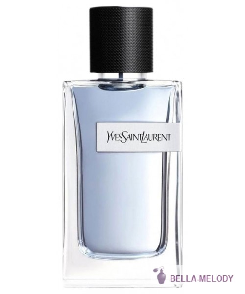 YSL Y Yves Saint Laurent Men