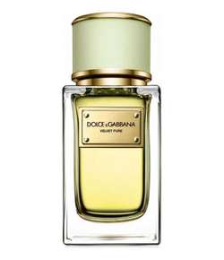 Dolce Gabbana (D&G) Velvet Pure