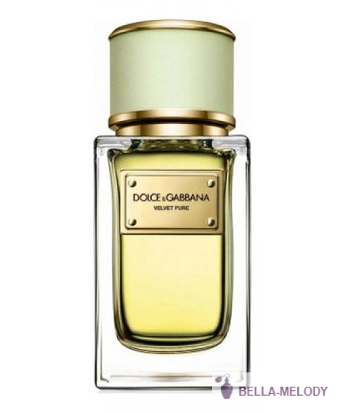 Dolce Gabbana (D&G) Velvet Pure