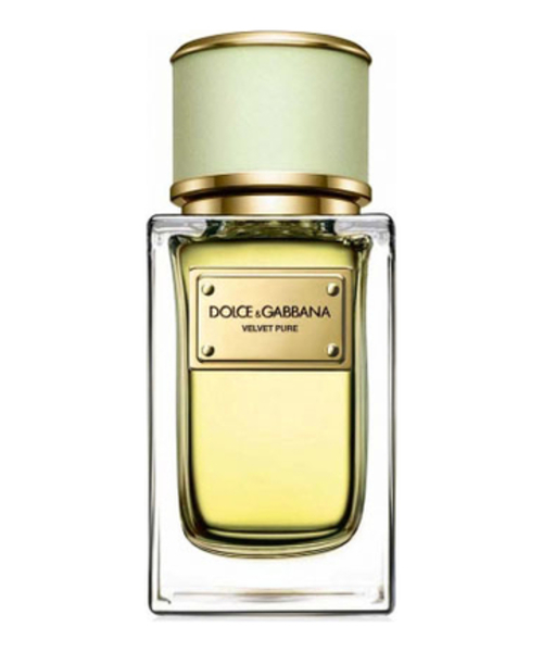 Dolce Gabbana (D&G) Velvet Pure