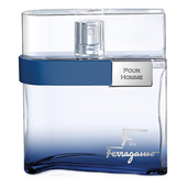 Salvatore Ferragamo F by Ferragamo Free Time