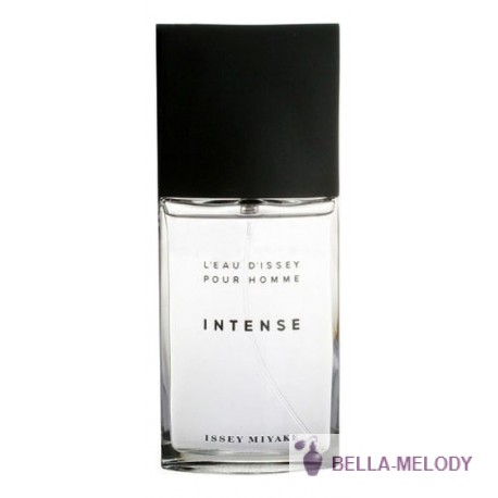 Issey Miyake L'Eau D'Issey Intense Pour Homme 11