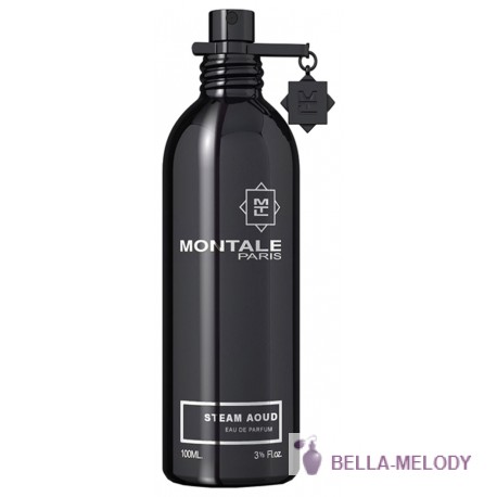 Montale Steam Aoud 11