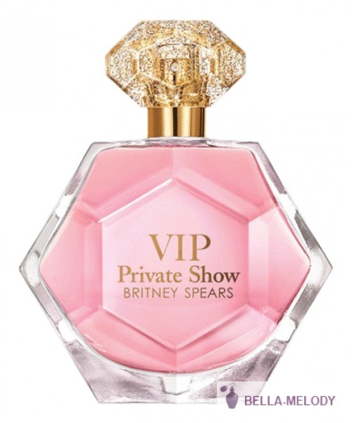 Britney Spears VIP Private Show