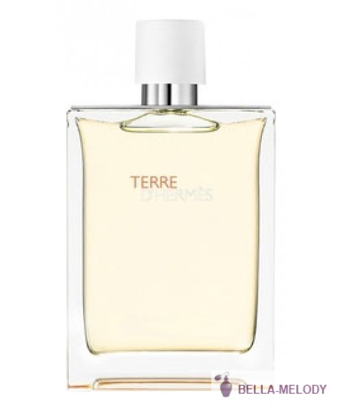 Hermes Terre D'Hermes Eau Tres Fraiche