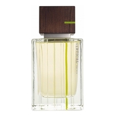 Victorias Secret Vertical For Men