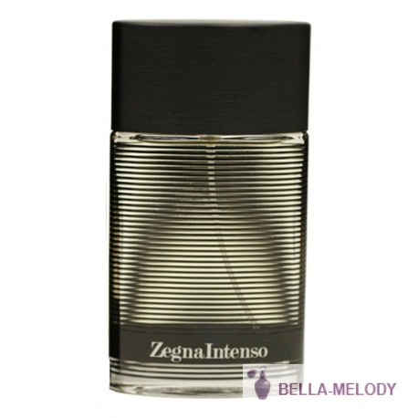 Ermenegildo Zegna Intenso 11