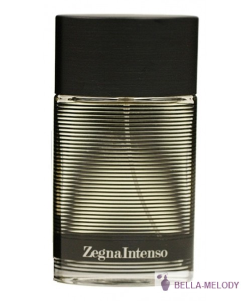 Ermenegildo Zegna Intenso