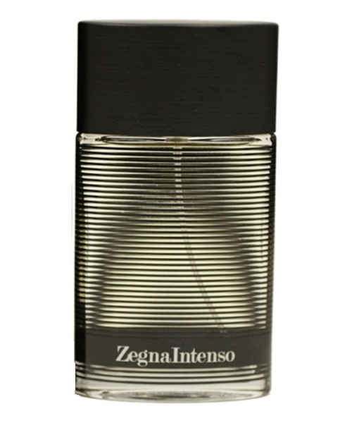 Ermenegildo Zegna Intenso