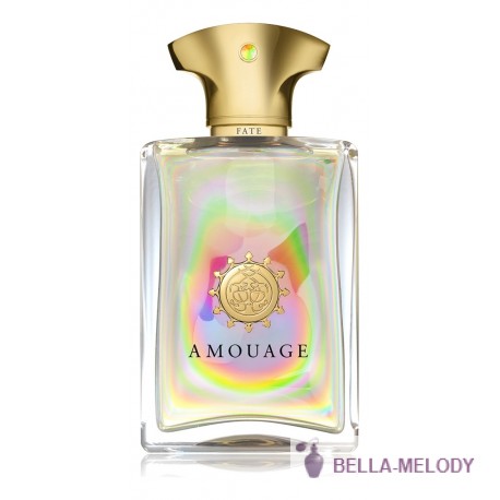 Amouage Fate For Men 11