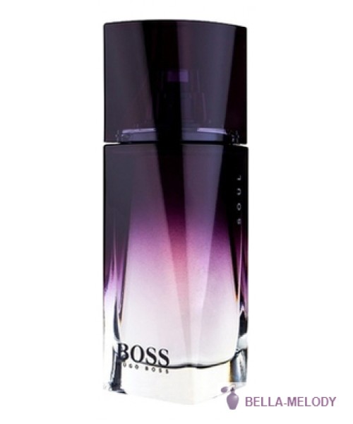 Hugo Boss Boss Soul