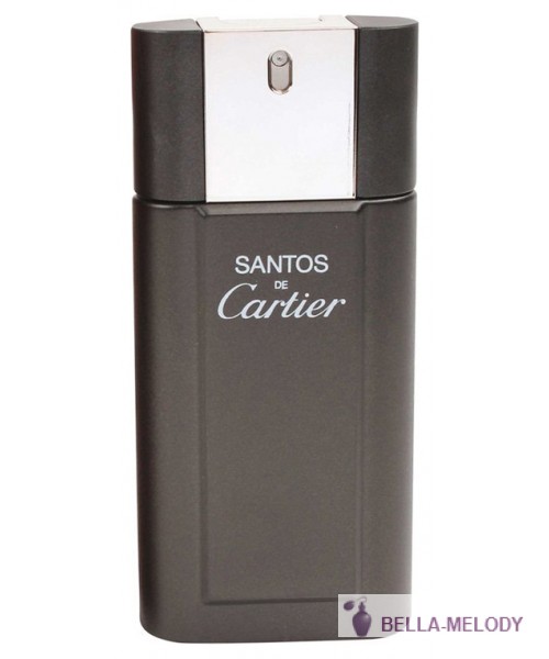 Cartier Santos De Cartier