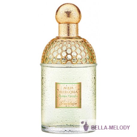 Guerlain Aqua Allegoria Herba Fresca 11