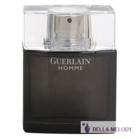 Guerlain Homme Intense 11