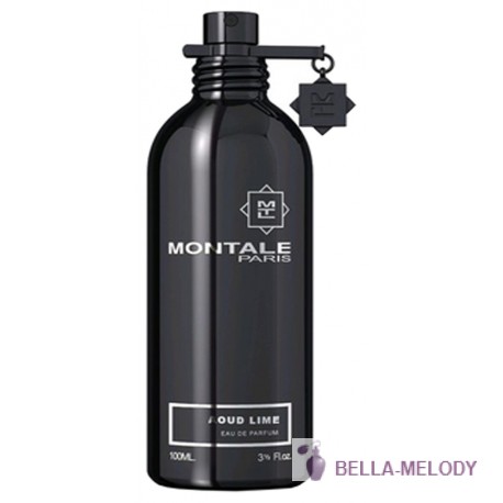 Montale Aoud Lime 11