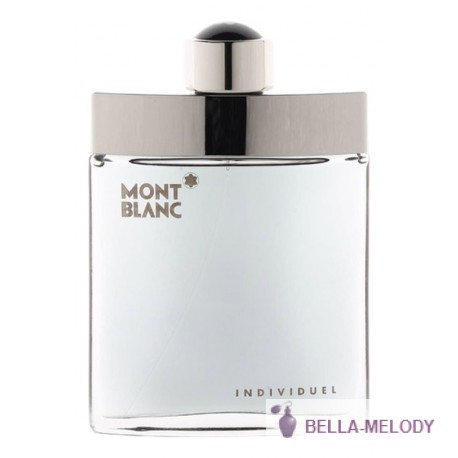 Mont Blanc Individuel Men 11