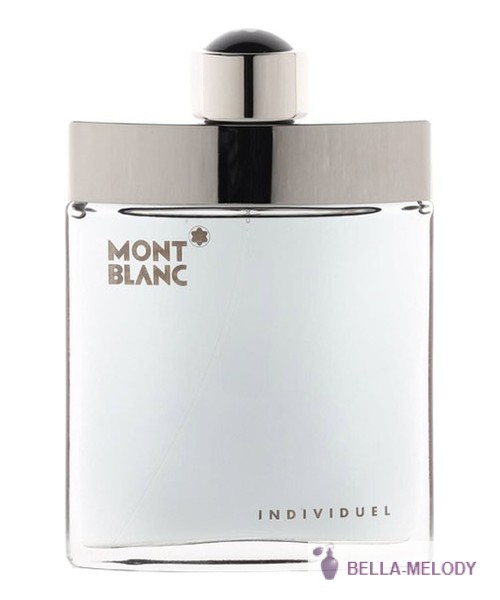 Mont Blanc Individuel Men