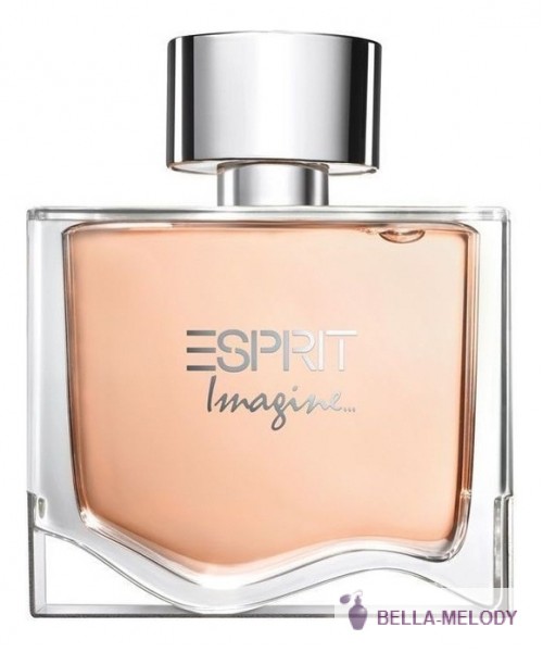 Esprit Imagine