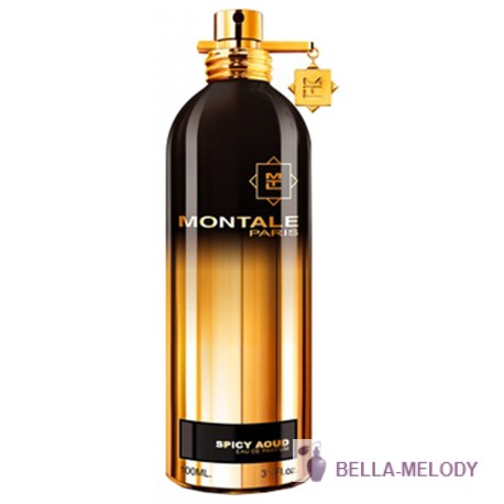 Montale Spicy Aoud 11