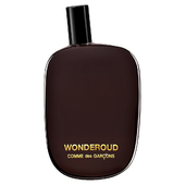 Comme des Garcons Wonderoud