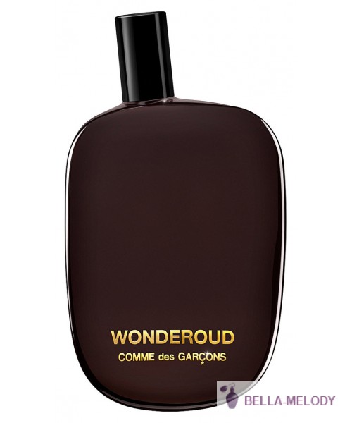 Comme des Garcons Wonderoud